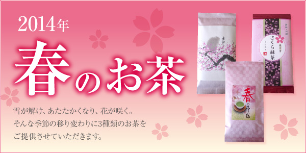 2014春のお茶
