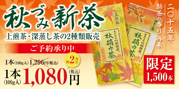 2015秋づみ新茶