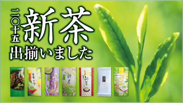 2015年新茶出揃いました。