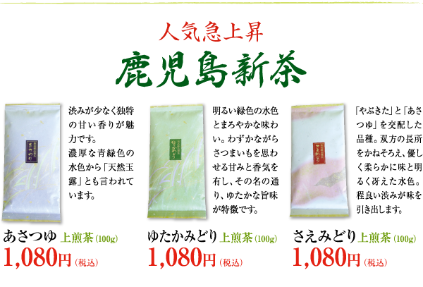 人気急上昇　鹿児島新茶