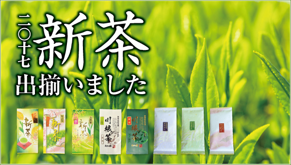 2017年新茶出揃いました。
