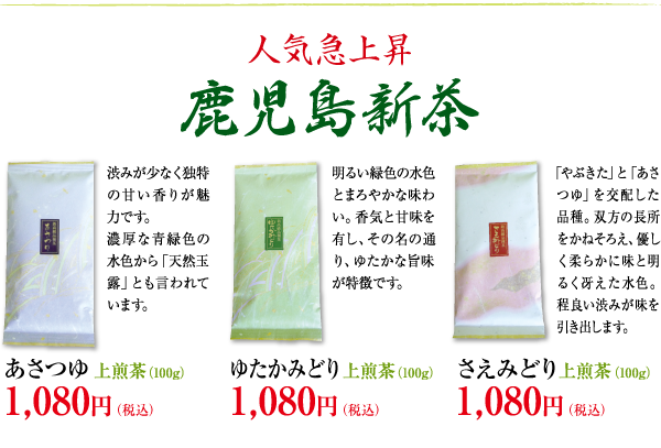 人気急上昇　鹿児島新茶