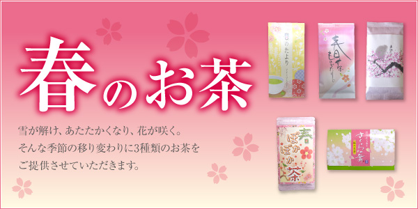2017年　春のお茶