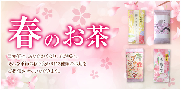 2017年　春のお茶