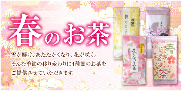 2017年　春のお茶