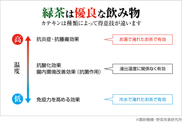 緑茶は優良な飲み物