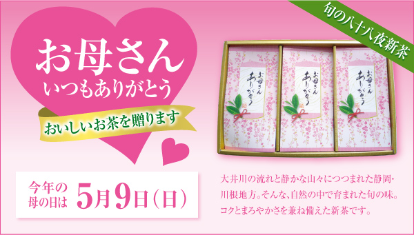 お母さんいつもありがとうおいしいお茶を贈ります