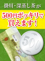 掛川・深蒸し茶が500円ポッキリで買えます!